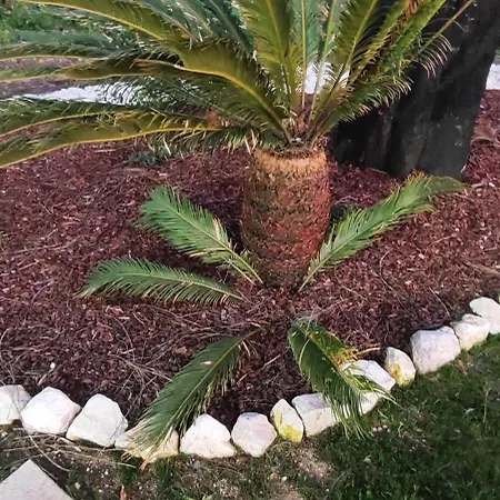 Σπίτι διακοπών Charm House Casa Da Eira Angeja