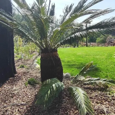 Σπίτι διακοπών Charm House Casa Da Eira *