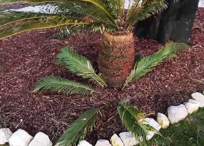 Casa vacanze Charm House Casa Da Eira Angeja